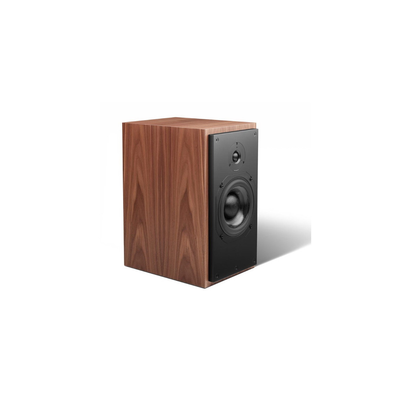 SCM20 Walnut