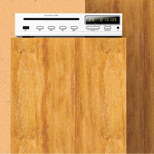 CD80* (SILVER)