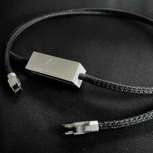 REN Ethernet Isolator (4.5m)