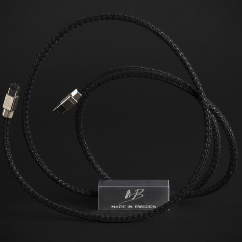REN Ethernet Isolator (4.5m)
