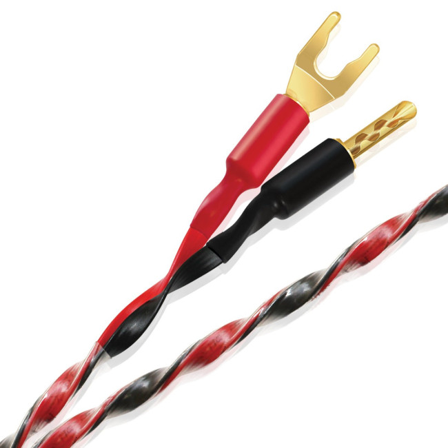 ATC 11, ATC SIA2-100 + FREE iFi Neo Stream & WireWorld Interconnect + Speaker Cable