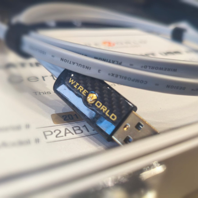 WIREWORLD USA Platinum Starlight® 8 USB 2.0 A-B 1m